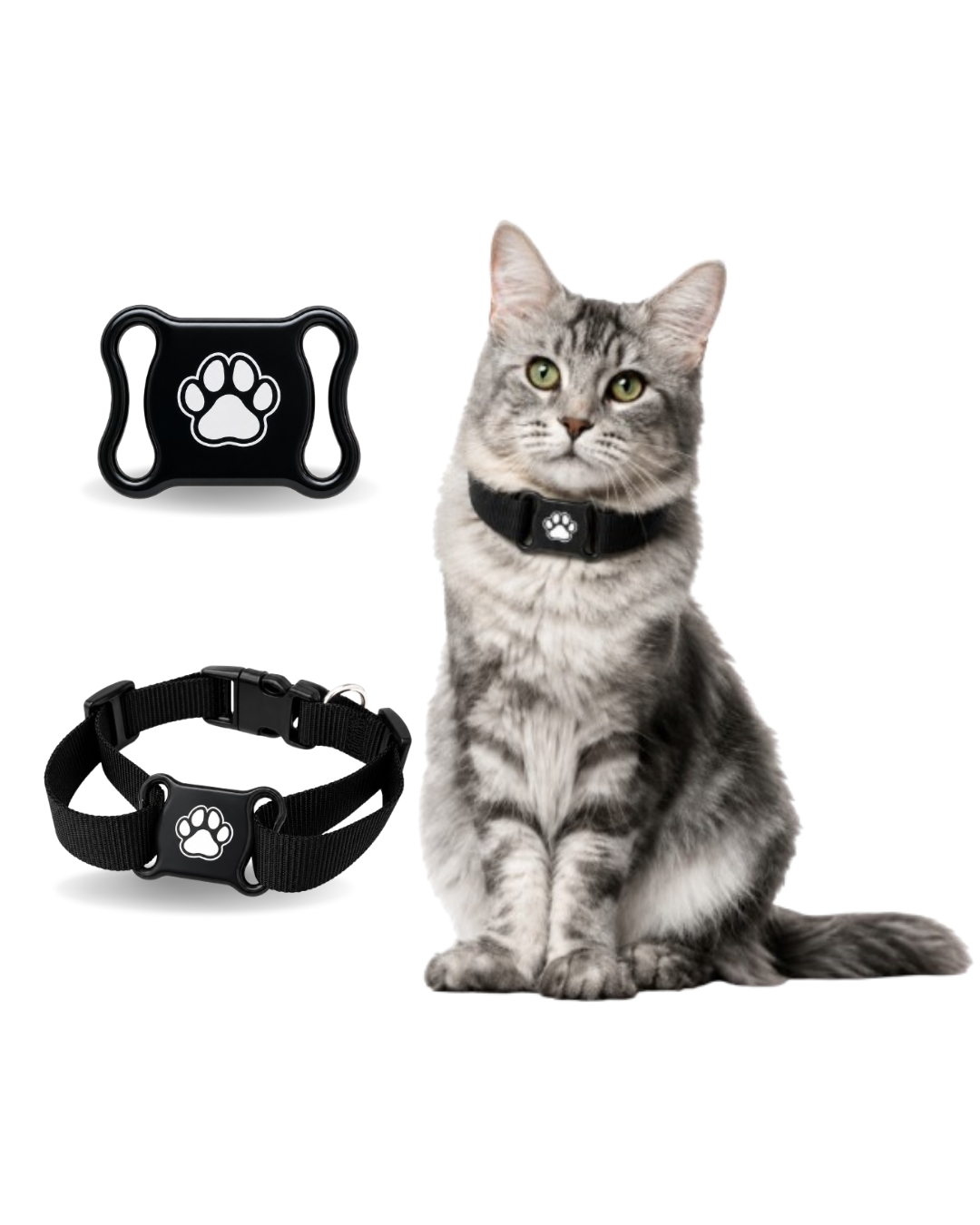 WEBTAG PET