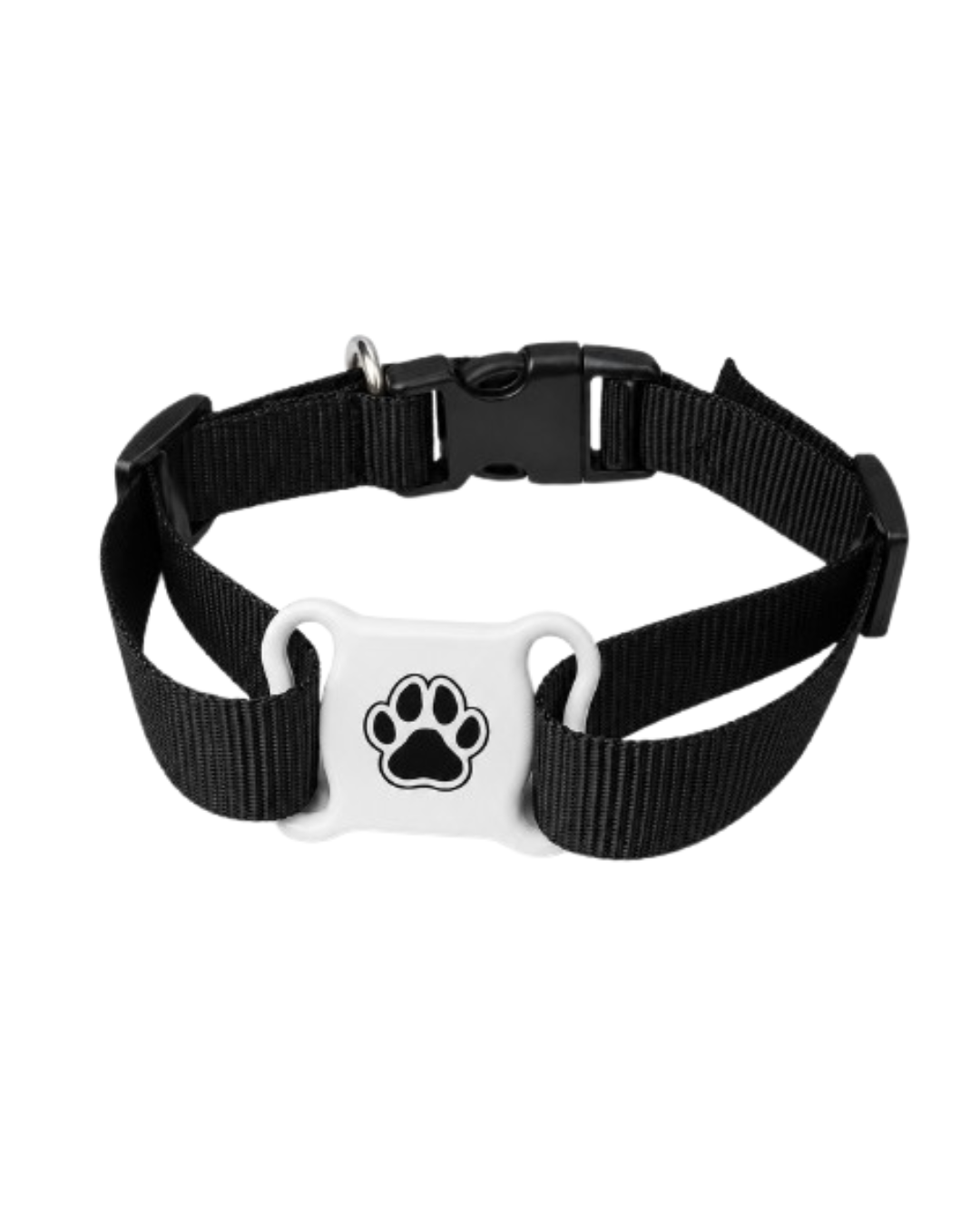 WEBTAG PET