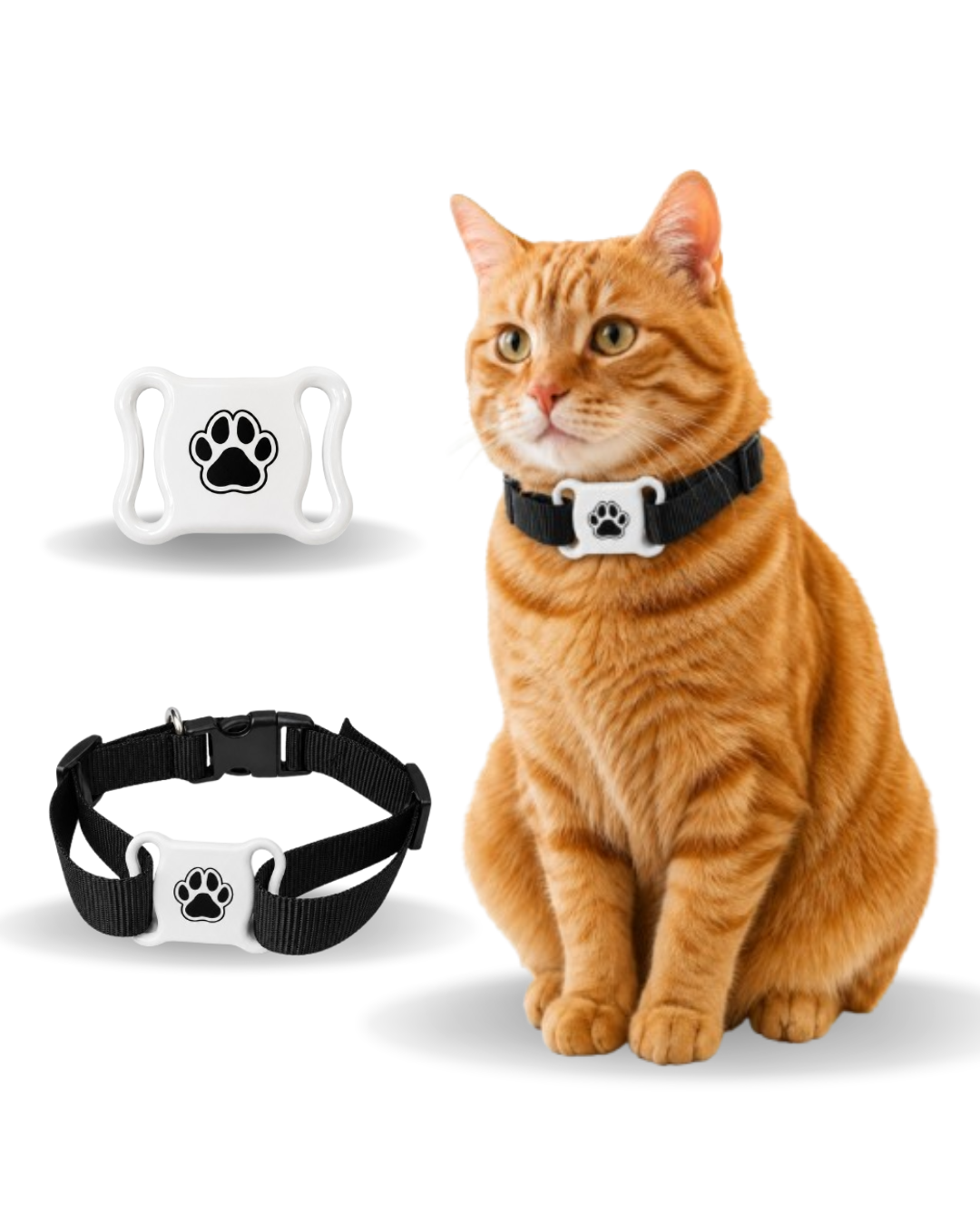 WEBTAG PET