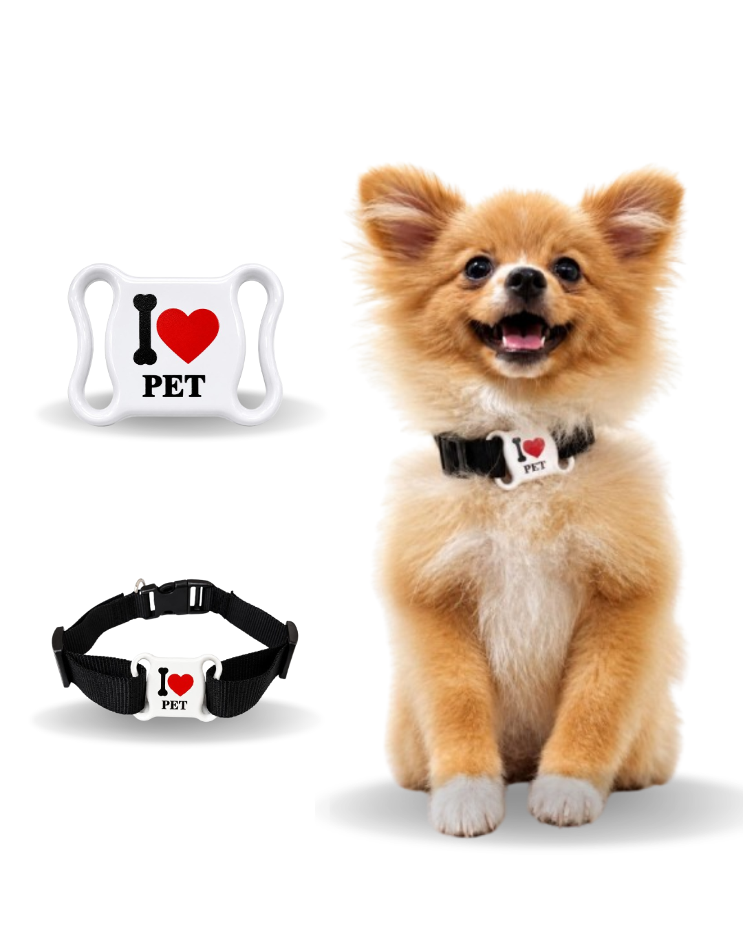 WEBTAG PET